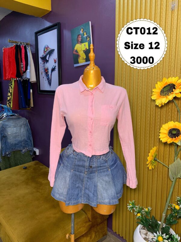 Pink Long Sleeve Crop Size 12