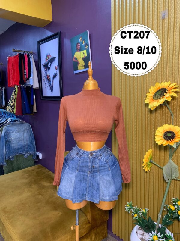 Brown Long Sleeve Crop Top Size 8/10