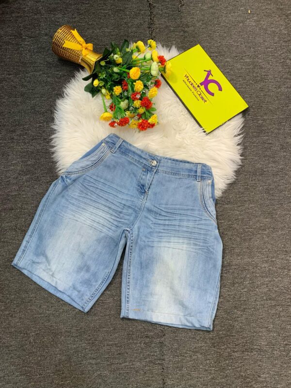 Light Blue Plus Size Shorts Size 20