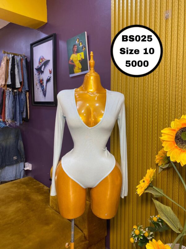 Long Sleeves v neck bodysuit Size 10