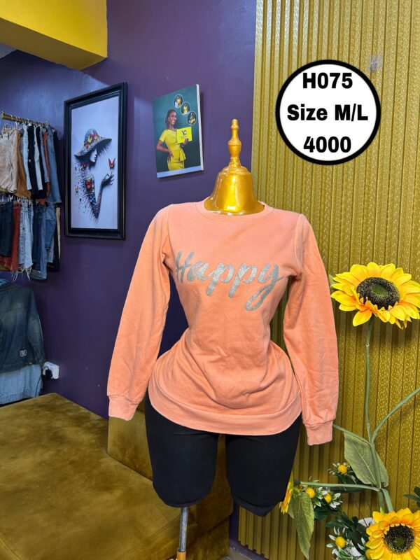 Whine Colour Sweatshirt M/L