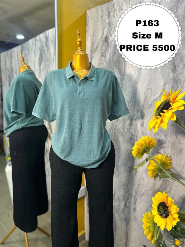 P163 - Faded green collar polo (M)