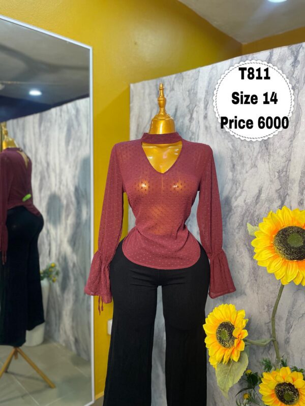 T811 - Dotted bell-sleeve top (14)