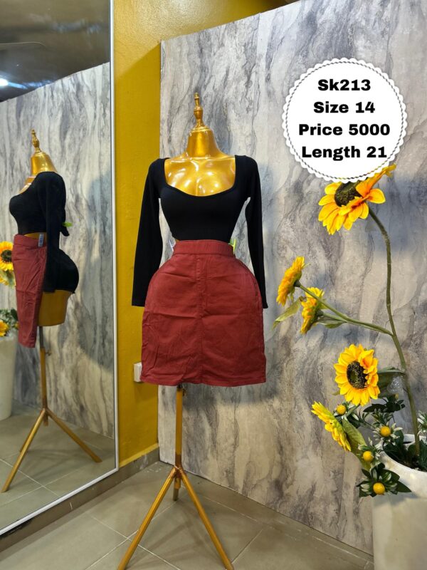 SK213 - Wine-toned mini skirt (14)