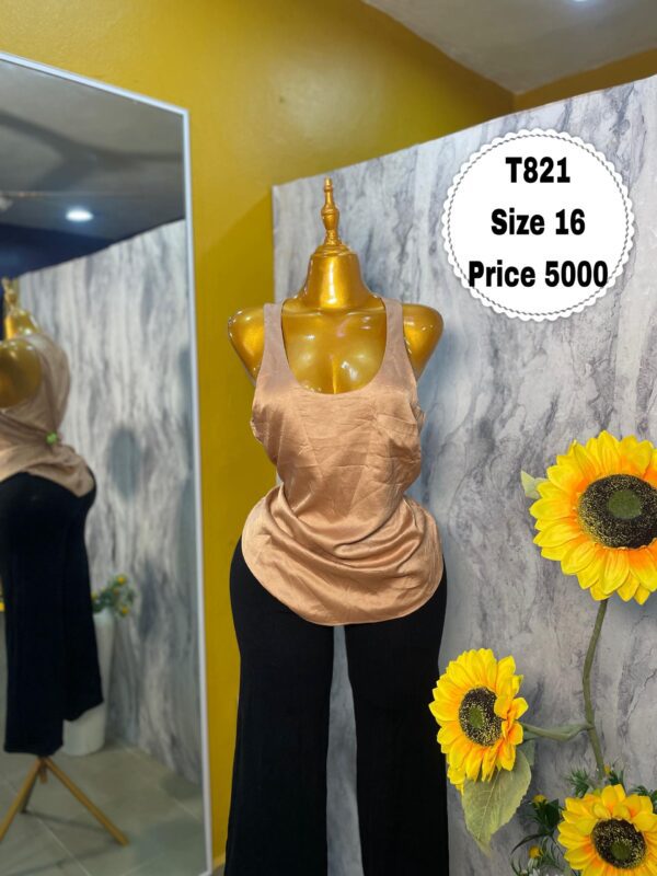 T821 - Neutral sleeveless top (16)