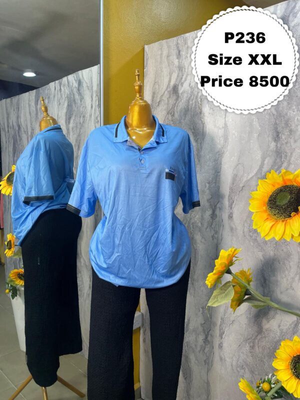 P236 - Plain sky blue Tee-shirt | Size XXL