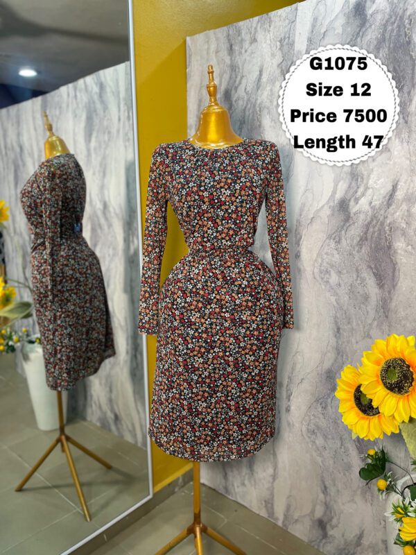 G1075 - Long sleeve floral mesh dress | Size 12/14