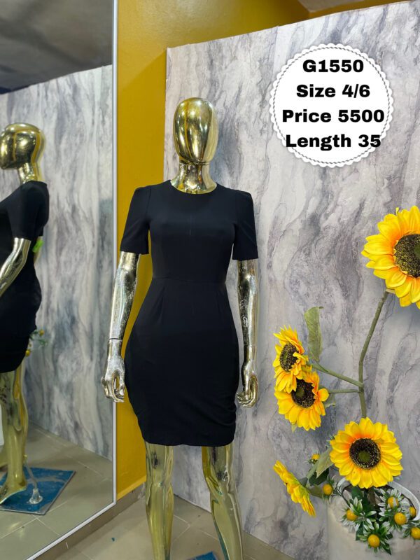 G1550 - Beautiful corporate gown | Size 4/6